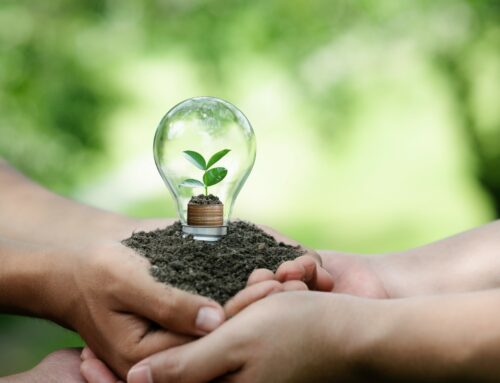21 de octubre: Día mundial de ahorro de energía.